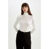 Regular Fit Soft Textured Turtleneck Basic Plain Knitwear Sweater H1651az24wn