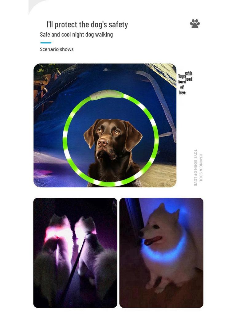 USB Rechargeable LED Dog Collar with Type C Port for Night Visibility
