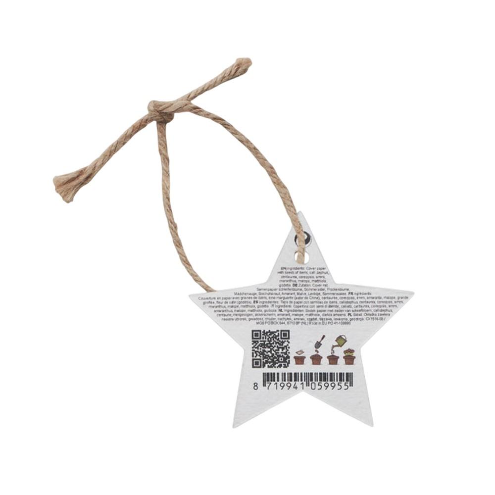 MidOcean Starseed Seed Paper Star Christmas Hanging Ornament