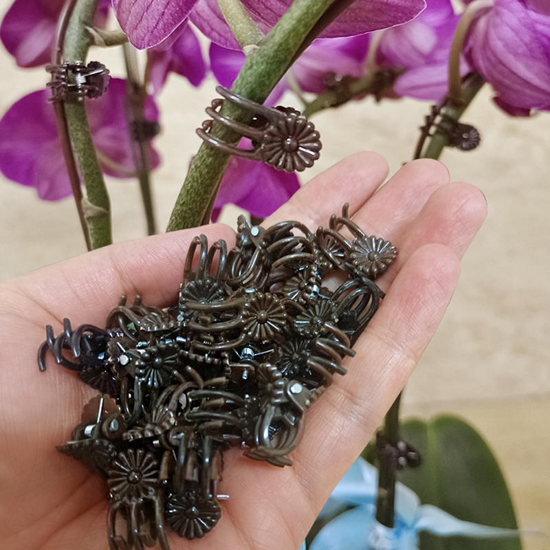 100 шт. вьющихся растений виноградная лоза орхидея фиксация опорные зажимы инструменты садовые цветочные стебли шпалерные зажимы