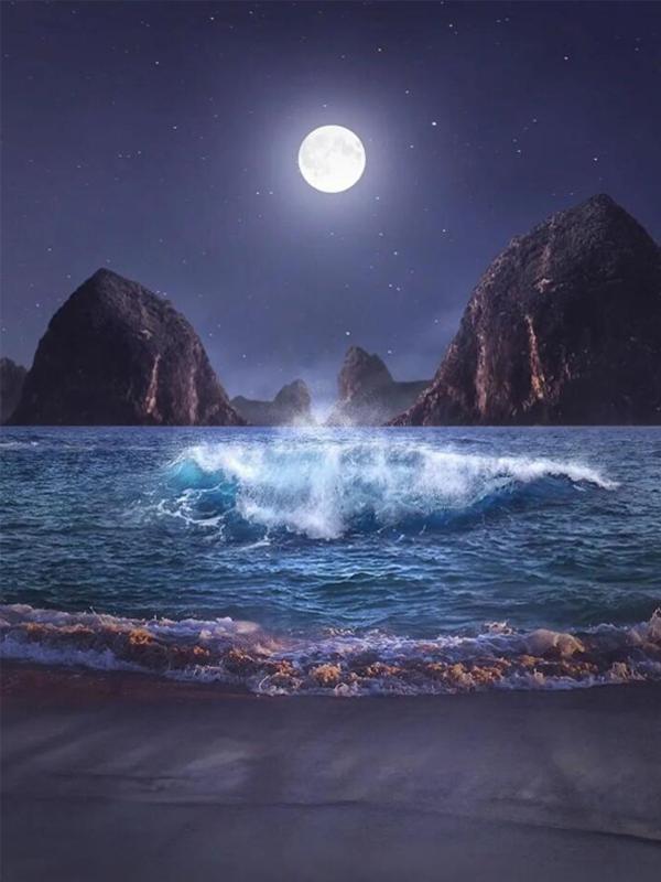 Алмазная живопись Новые поступления Луна Ночь Морской пейзаж Цветок Diy Полный квадратный круглый дрель Горный хрусталь Вышивка Роза Мозаика Наборы для вышивки крестом Настенный декор