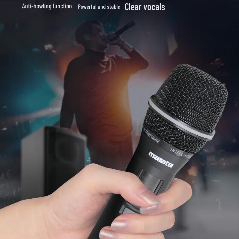 Malata M+9788A High-Power Portable Outdoor Speaker