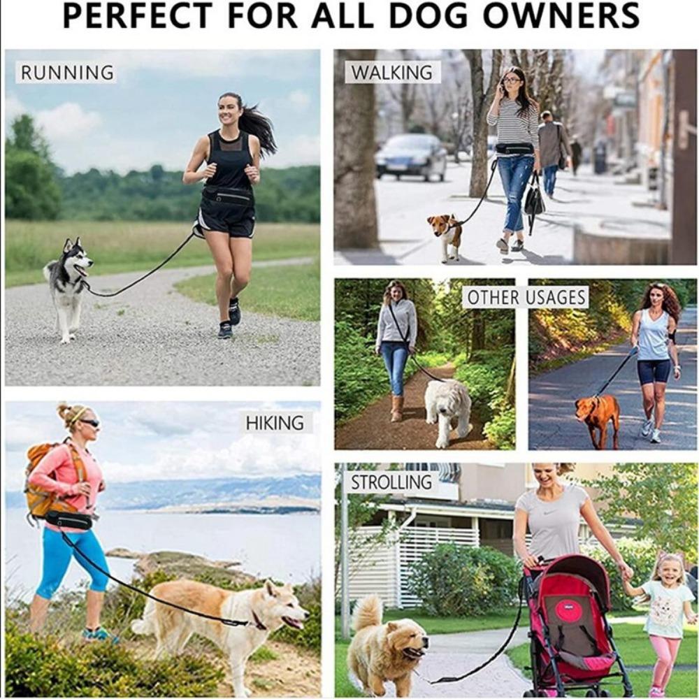 Sports Fanny Pack Dog Leash, Pet Running Leash, Dog Leash with Reflective Strip Outdoor Products