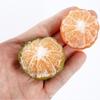 Мягкая сжимаемая медовая мандаринка - Настольная игрушка-антистресс, креативный розыгрыш и офисное украшение