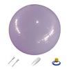 55/65/75CM Yoga Ball with Air Pump Anti-slip Physical Therapy PVC Fitness Balance Ball Pregnancy Birthing Ball Gym Workout Stability Ball