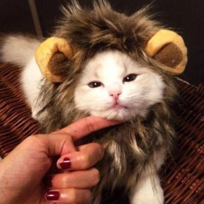Парик для домашних животных с ушками для собак или кошек, рождественские костюмы для косплея, праздничная одежда для вечеринок, нарядные костюмы