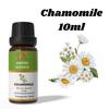 Ananta Chamomile Essential Oil 10 ml | Floral Herbal Aromatic Oil | Sweet Herbaceous Essential Oil