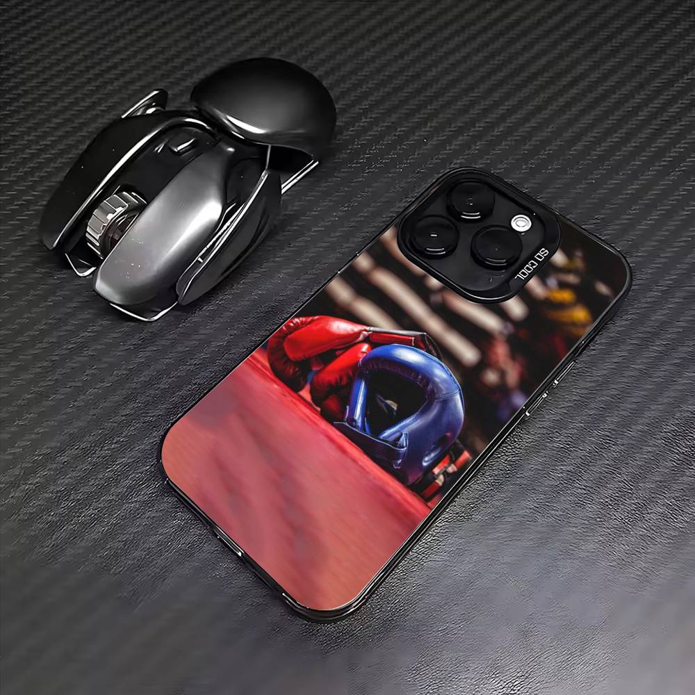 Бокс обои Чехол для телефона Для iPhone17,16,15,14,13,12,11 Plus,Pro Max Цветной Посеребренный Внутренняя крышка