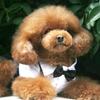 Spring and Summer Clothes PET Suspenders Wedding Dress Suit for Small Dog Monkeys and Bodies