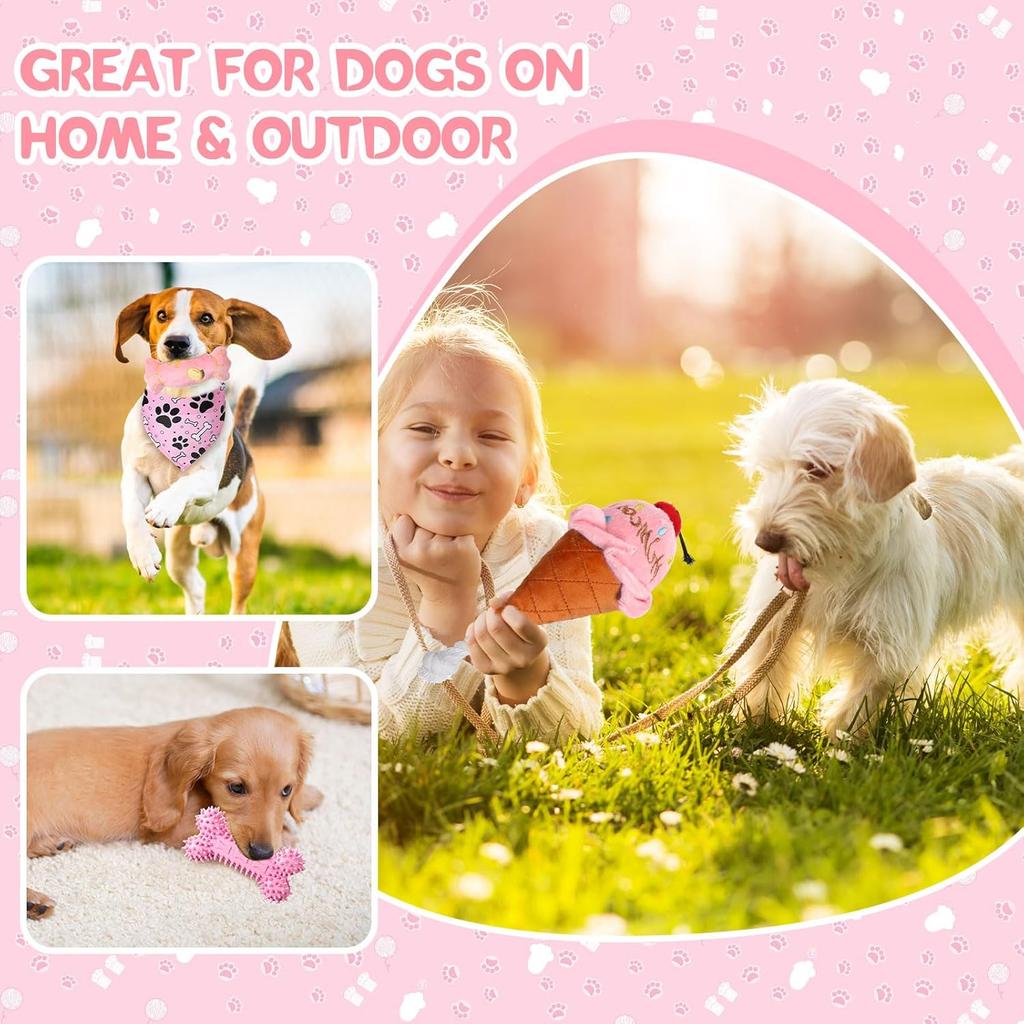 14 Pack Puppy Teething Toys, Chew Toys for Small Dogs Puppy Toys Pink Dog Stuff with Soft Rubber Balls and Colorful Ropes for Small Breed Interactive