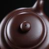 Yixing Zisha Gongfu Teapot