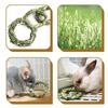 Molar Toy Multifunctional Attractive Natural Grass Ring Rabbit Toy for Bunny