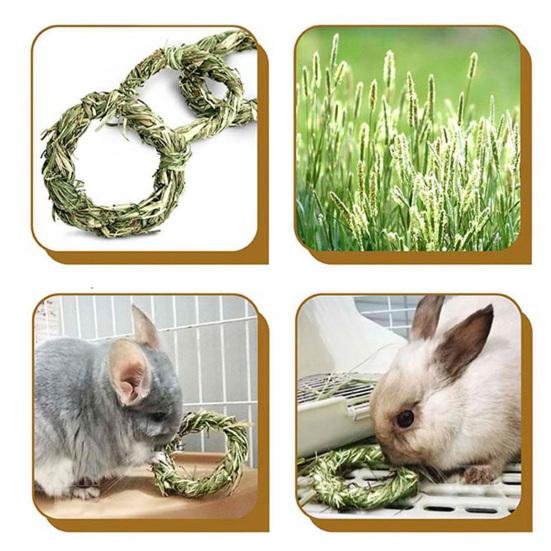 Molar Toy Multifunctional Attractive Natural Grass Ring Rabbit Toy for Bunny