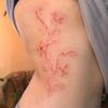 Gentle Wind Red Lily Vine Tattoo Sticker Niche High-End Sense Of Long-Lasting Non-Reflective Waist And Abdomen Patch