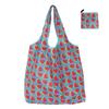 Fashion Home Handy Shopping Bag Eco Bag Folding Bag Advertising Gift Bag