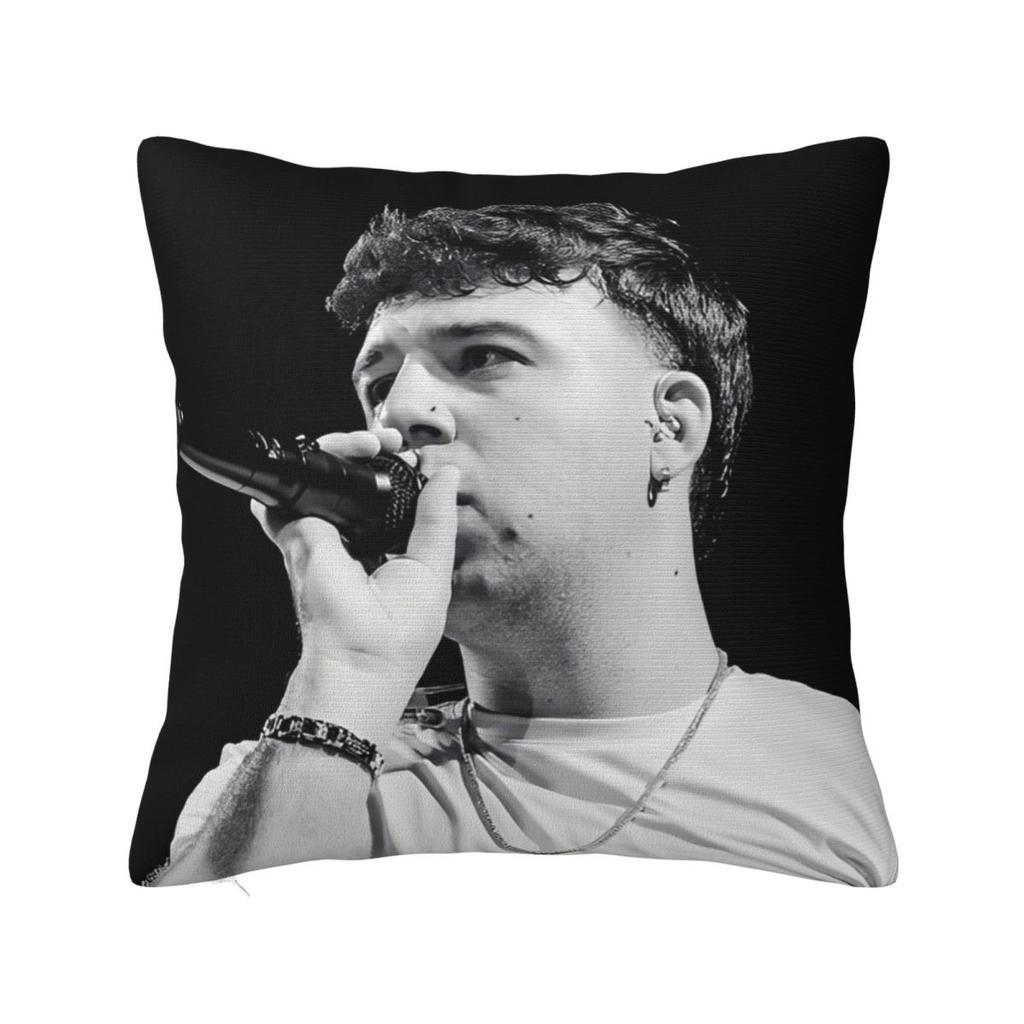 Rapper Quevedo Spanish Singer Pillow Cover Cushion Cover Square Pillow Case Funny Pillowcases For Office Car Home Decorative