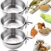 Parrot Stainless Steel Food & Water Bowl - Thickened Bird-Specific Trough & Cup Combo