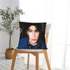 Zhang Actor Linghe Pillowcases Fashion Pillow Case For Living Room Sofa Comfy Pillow Cover