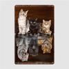 Cats Reflection Water Poster Metal Plaque Vintage Garage Club Wall Cave Painting Décor Tin Sign Posters