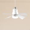 Ceiling Fan with Light 3 Gear Wind Speeds Socket Remotes Control for
