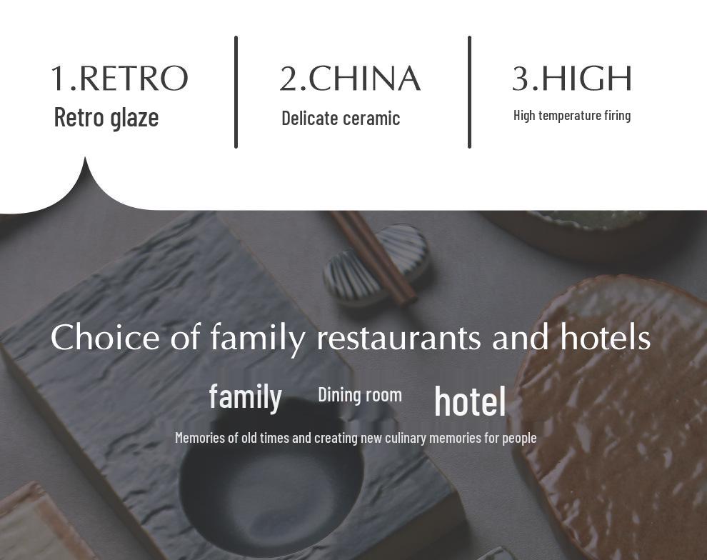 Японская минималистичная керамическая тарелка для суши и пельменей - Изысканный подглазурный дизайн