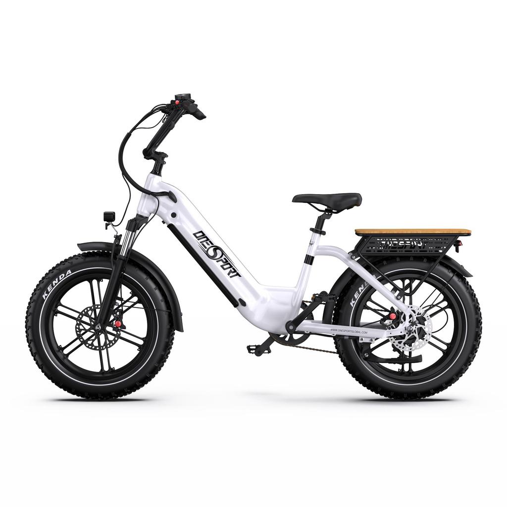 Electric bicycle ONESPORT OT08, 500W motor, 48V 18AH battery, top speed 25 km/h, cruising range 90km, 20*4.0 inch tires