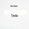 Совместимые наклейки с логотипом Tesla