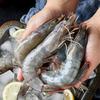 Премиальная подарочная коробка с морепродуктами «Пристань Шоусянь»
