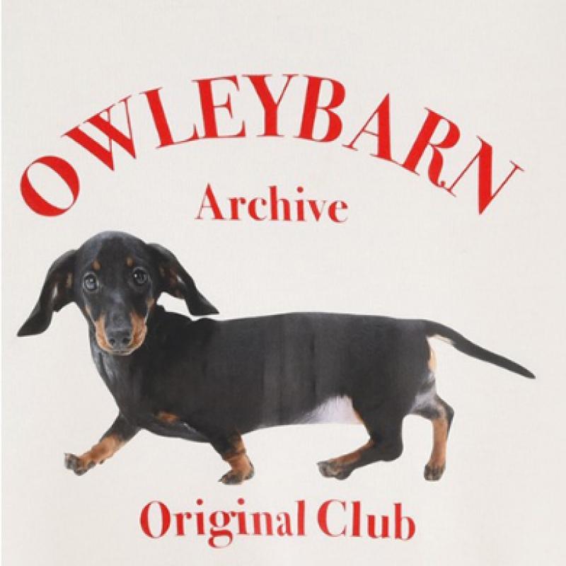 Высокий свитшот Olivan Arch цвета слоновой кости 