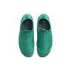 Nike ACG Moc 3.5 Neptune Green Мужские кроссовки Summit-White Thunder-Blue DO9333-301