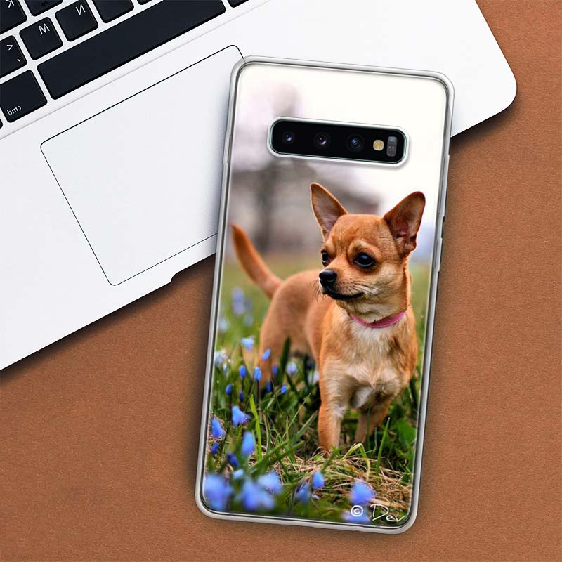 Chihuahua Puppy Teacup Dogs Phone Case For Samsung Galaxy M21 M12 M31S M32 M51 M52 Note 20 Ulte 10 Plus 9 8 J4 J6 + J8 M11 F52 F