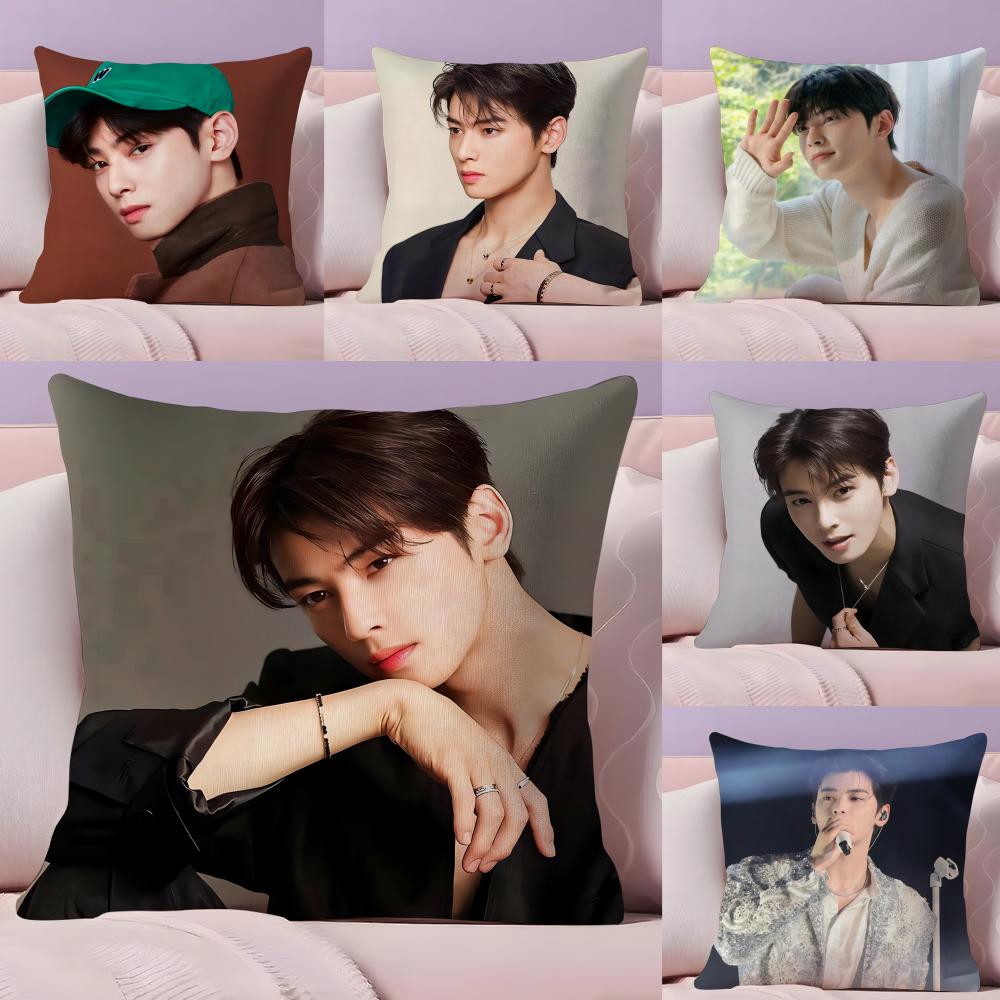 Kpop Singer Cha EEun WWoo Cushion Cover Plush Fabric Soft DoubleSided Printed Sofa Warm Winter Home Gift Pillow Cover