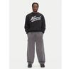 Худи Karl Kani Varsity Palm