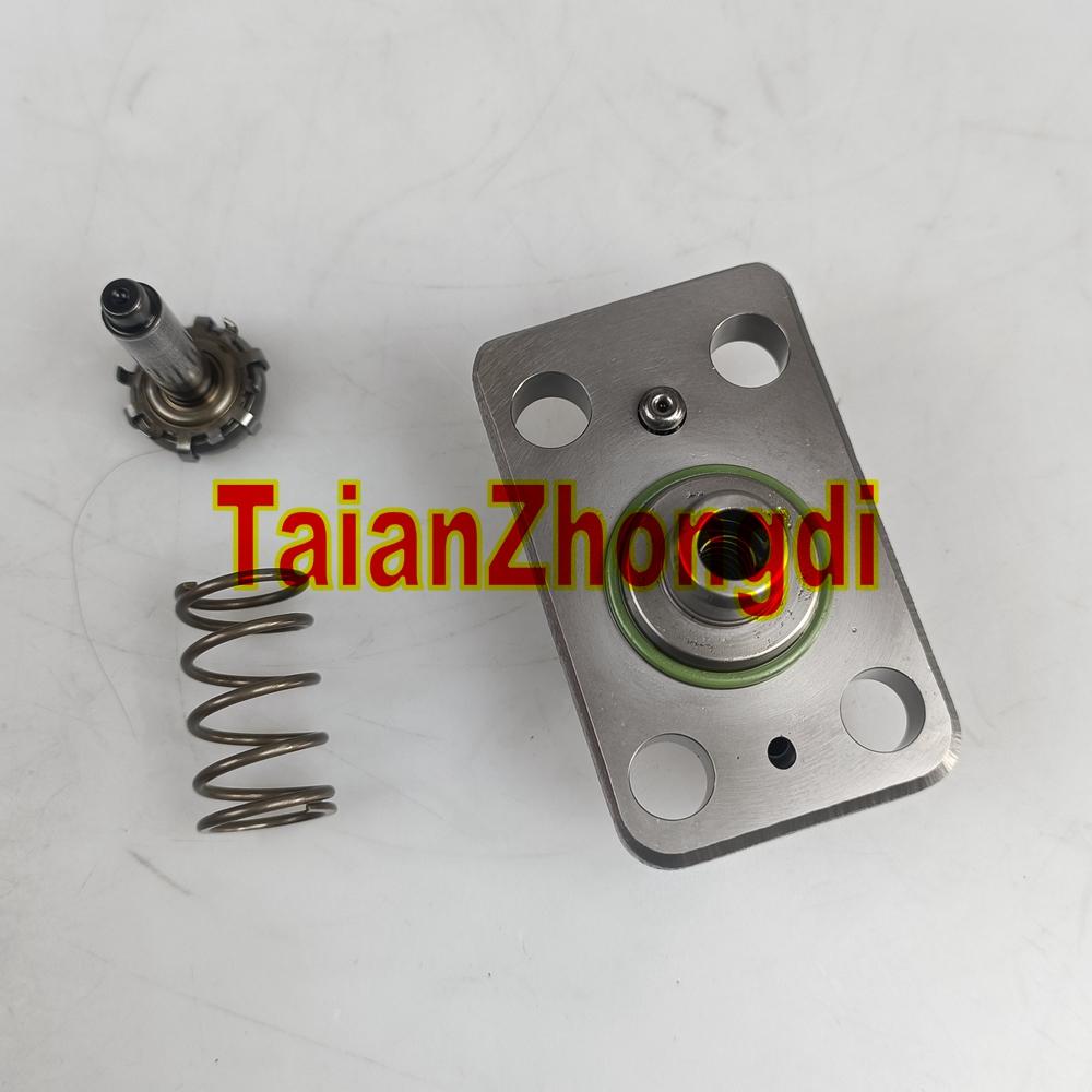 Genuine F01M101781 Fuel Pump Plunger for CP1 CP1H CP1H3 Pump F01M100869