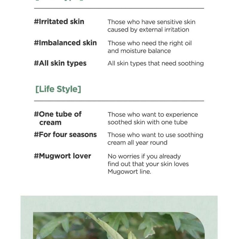 Isntree - Mugwort Calming Cream Bundle Set