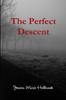 Книга The Perfect Descent