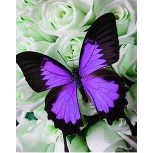 Butterfly Pattern 3D Diy Diamond Painting Cross Ctitch Kits Diamond Art Crystal Mosaic Embroidery