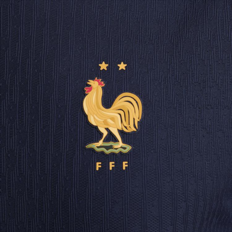 Nike Футболка мужская с коротким рукавом и логотипом Dri-FIT ADV с принтом животных, повседневная, с круглым вырезом, синяя, FJ1899-498