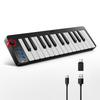 MIDI-клавиатура Donner, 25 клавиш, USB-контроллер, Мини-клавиатура, Компактная, Чувствительная к силе нажатия, Музыкальное производство, Японское руководство пользователя, Черная N-25