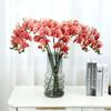 Lan Kwai Fong Luxurious Phalaenopsis Artificial Flowers for Living Room Decoration