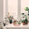 Садовый Миниатюрный Сладкий Домик Домик Цветочный Горшок DIY Горшки для Бонсай для Суккулентов Растений Внутреннее Наружное Настольное Украшение