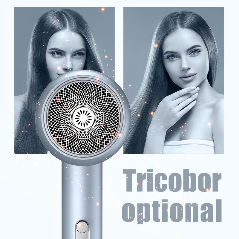 High-Power Blue Light Hair Dryer: 25 Years New, Fast & Consistent for Home, Hotel or Salon Use