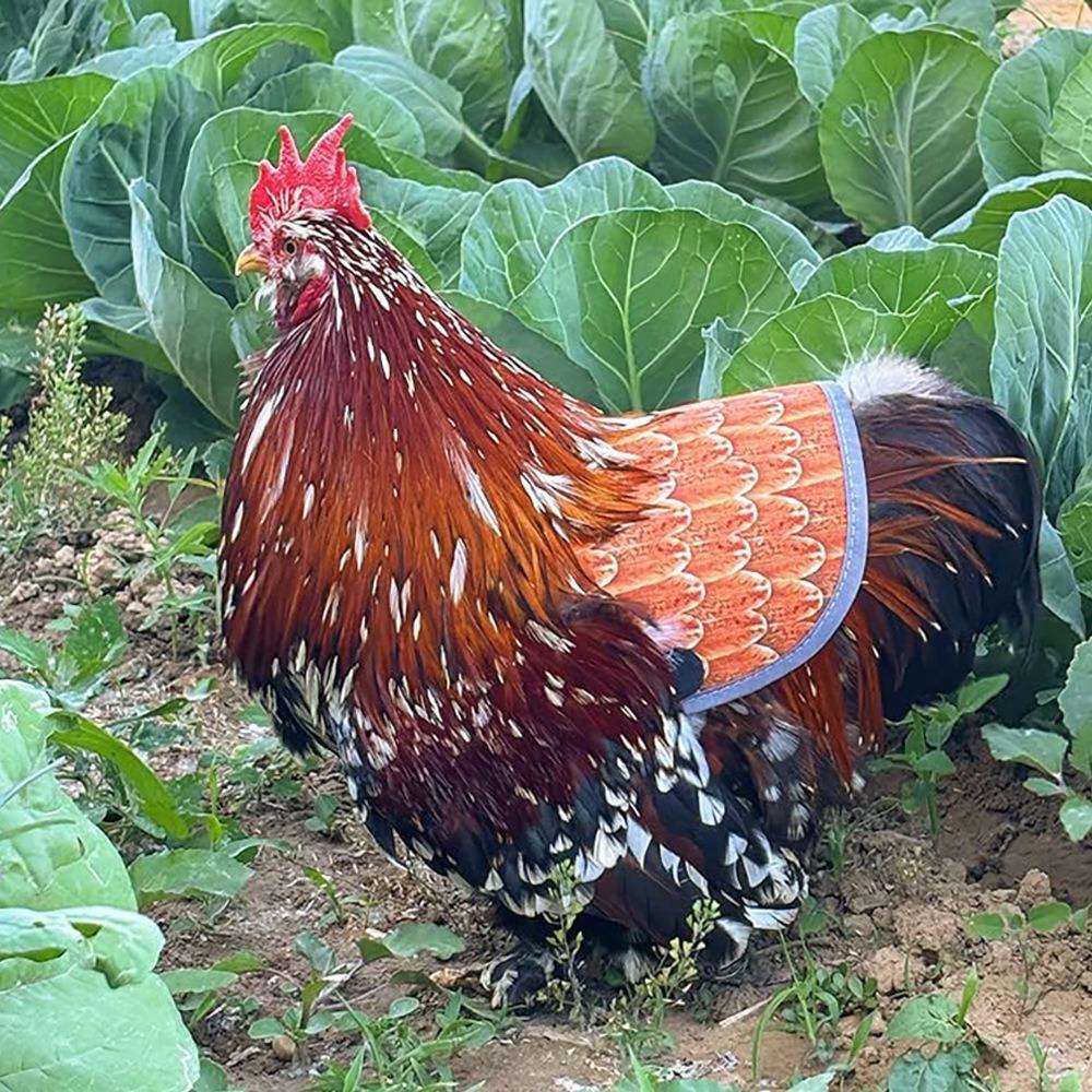 Adjustable Straps Hen Apron Feather Protection Back Protection Chicken Aprons Waterproof Mating Protection
