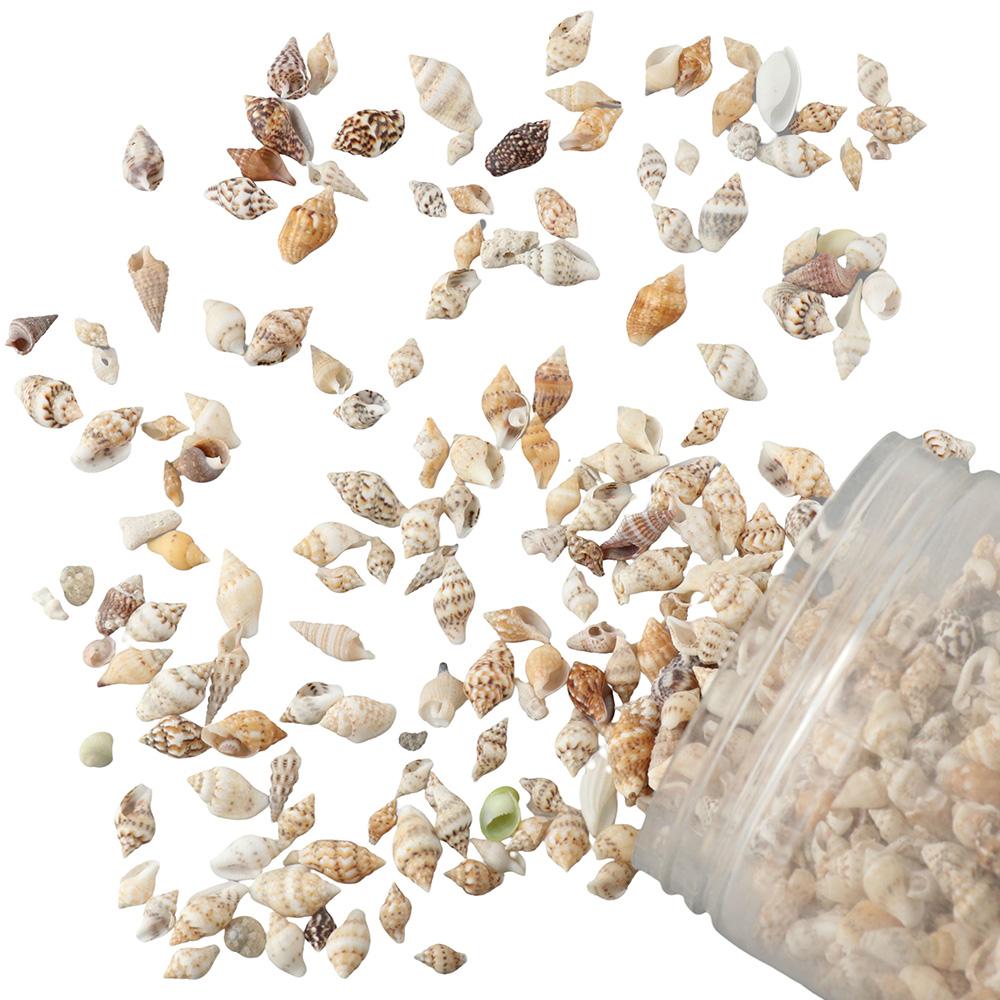 1500 шт. спиральных ракушек, морские ракушки, 1500 шт. подвесок-шармов из смешанных ракушек, пляжная тематическая вечеринка