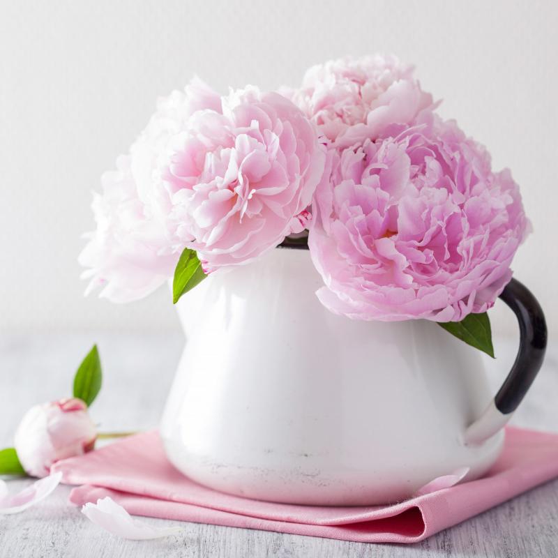 Алмазная вышивка Роза Полная дрель Квадратная алмазная картина Пион Вышивка крестом Распродажа Мозаика Цветок Вышивка крестом Домашний декор