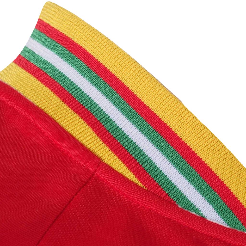 FA Wales Boys Retro Track Jacket