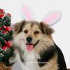 Lovely Bunnies Ear Headbands Durability Pet Headpiece Dog Halloweens Headbands for Easter and Festives Celebrations