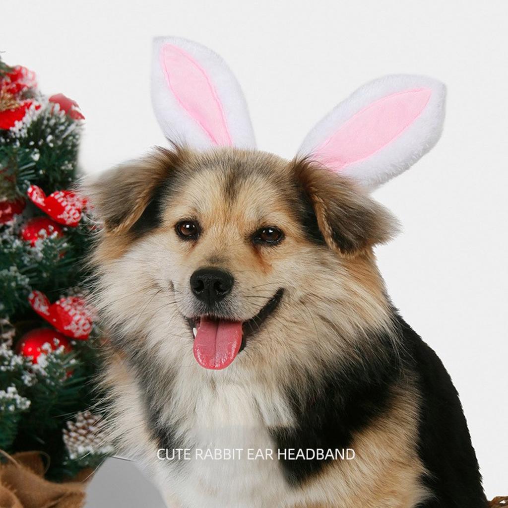 Lovely Bunnies Ear Headbands Durability Pet Headpiece Dog Halloweens Headbands for Easter and Festives Celebrations