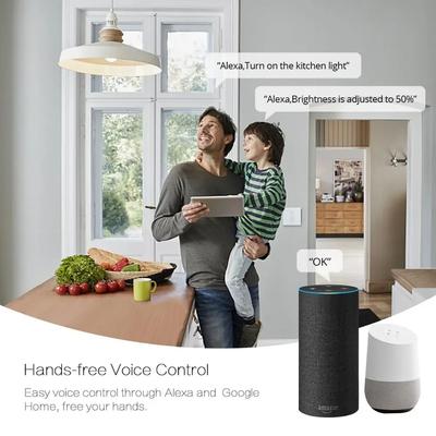 Tuya WiFi Smart Touch Light Dimmer Switch US Standard Smart Life Voice Control AC110-240V Работает с Alexa Google Home