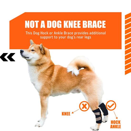 Dog Canine Rear Leg Hock Joint Brace Compression Wrap Dog Leg Sleeve for ACL CCL Injury Sprain Protection Arthritis Relief